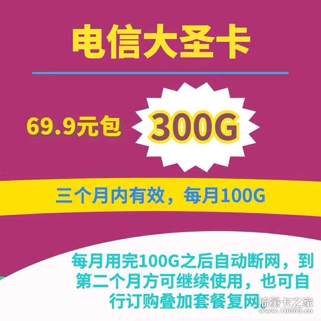 大圣卡 300G
