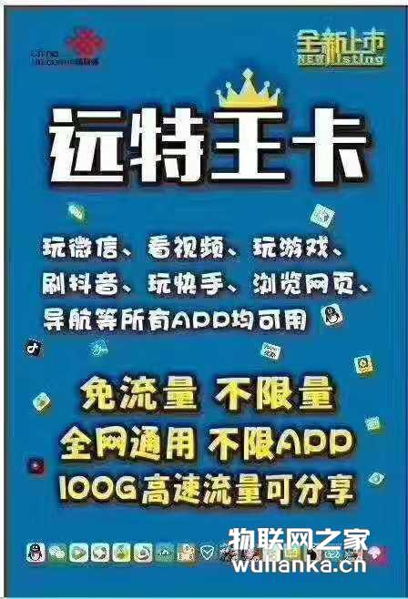 远特语音卡100G