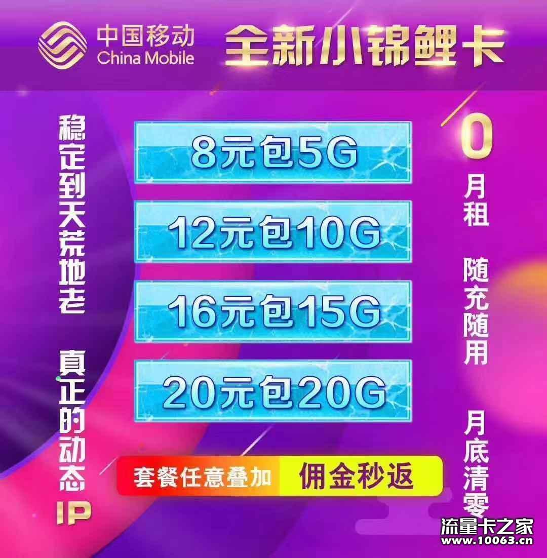 移动动态ip 精品小套餐  稳定不限速