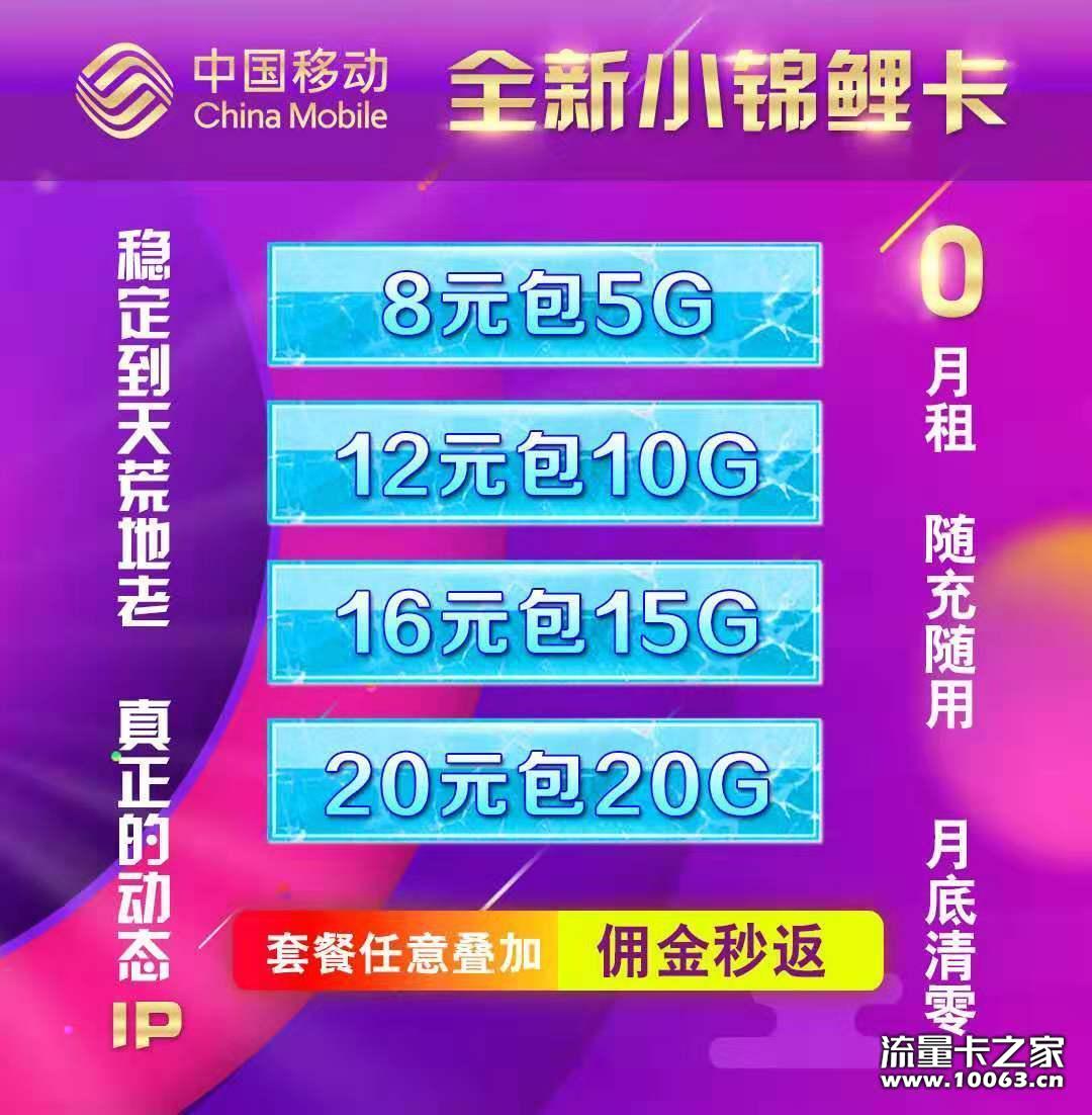 移动小锦鲤泰山卡 网速5-8M 秒返稳定