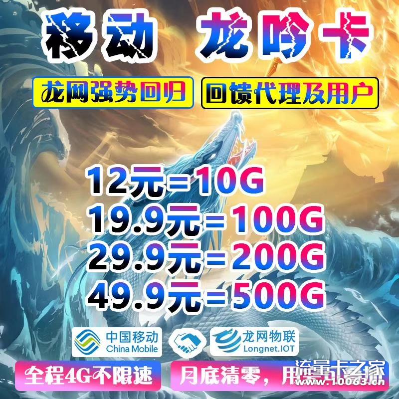 龙网19.9包100G